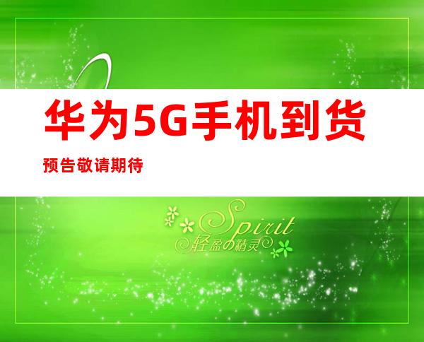 传承红色血脉，筑牢Weilink长城
